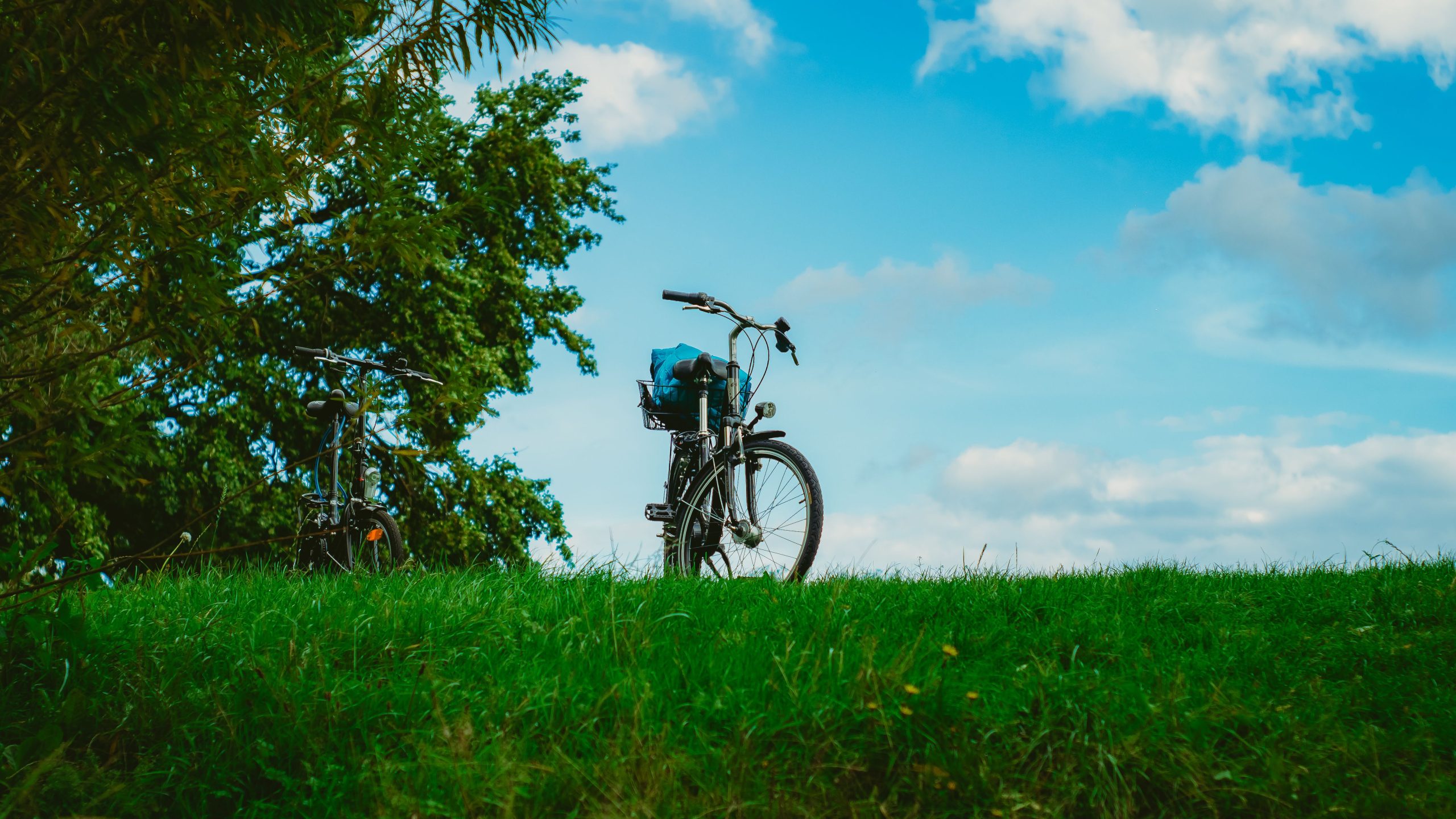 cycling tour in veneto